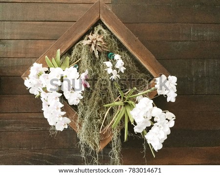 Beautiful nature background of vertical garden with white orchid and green leaf