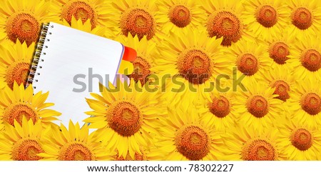 open note book and sun flower