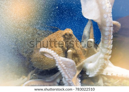 Abstract blur octopus with big tentacles under blue sea background
