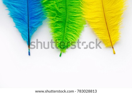 Poster for the carnival. Bright festive feathers in the color of the flag of Brazil.
