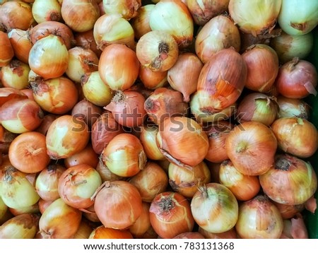Close up picture of onion background