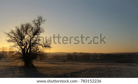 Sunrise over a winter country landscape with a tree against the light