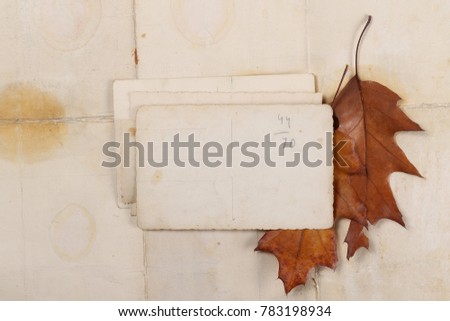 Brown autumn, fall leaves and blank, empty photo frames on vintage background and texture