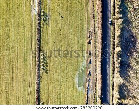 Countryside road field aerial photo