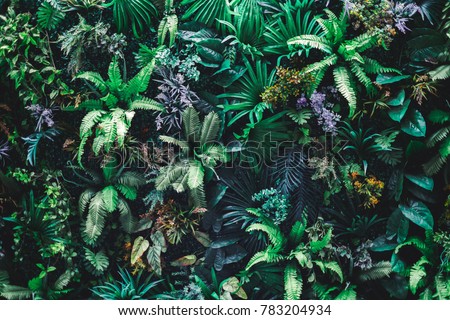 Beautiful nature background of vertical garden with tropical green leaf Royalty-Free Stock Photo #783204934