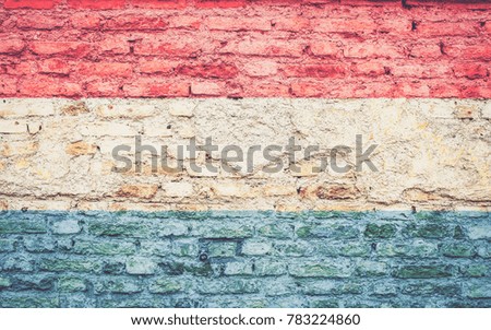 Luxembourg flag on the brick wall texture