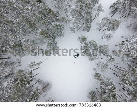 Winter birds eye view - Lithuanian winter - Snowy forest