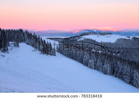From the lawn, covered with snow, a panoramic view of the covered with frost trees, fog, tall, steep mountains, an interesting sunrise with a pink sky. Good winter day.