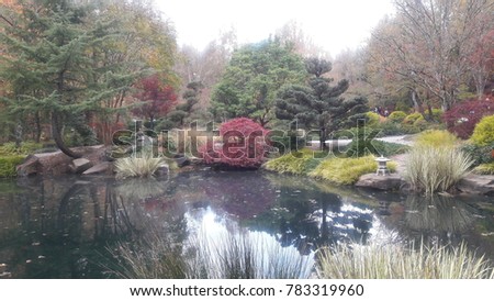 Japanese Garden view with reflection