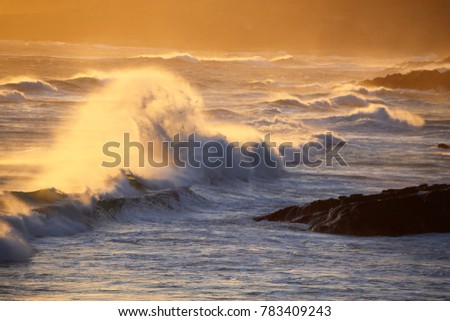 Waves breaking on a rocky shore at sunset, Robberg, Plettenberg bay, South Africa