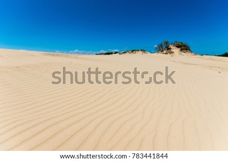 Jockeys Ridge sand dune system  Nags Head, Outer Banks, North Carolina