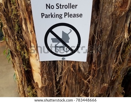 no stroller parking please sign on tree trunk with peeling bark