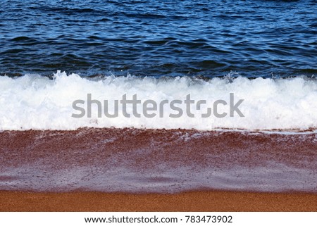 wave with foam that breaks on the shoreline