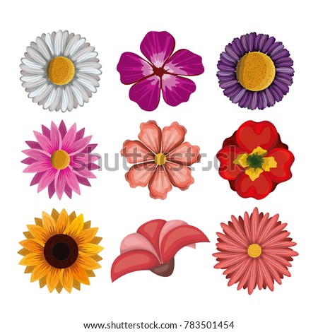 colorful flowers set in white background