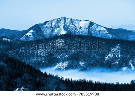 Snowy landscape with fog in the Basque Country, blue tone
