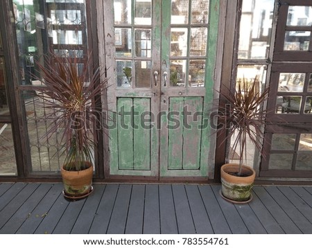 Old wooden door is long green vertical. There are trees in pots left and right.