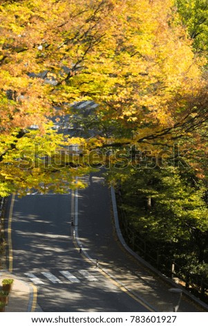 Beautiful autumn in South Korea
