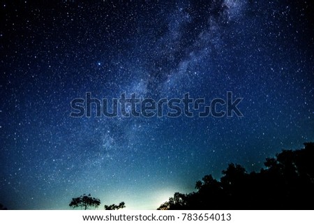 milky way and star field  background over tropical forest .