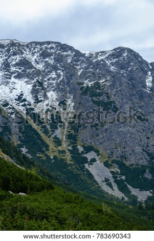 slovakian carpathian mountains in autumn. hiking trail on top of the mountain. sunny day for travel. green hills with tops covered in first snow and white clouds above