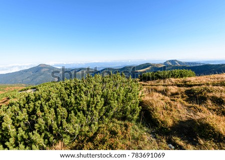 slovakian carpathian mountains in autumn. sunny hill tops in summer. nice day for hiking