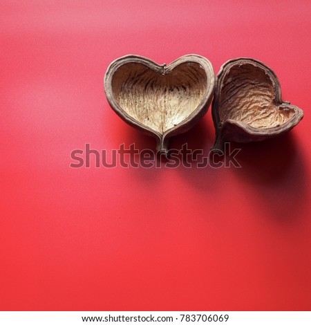 Two Dried sterculia that look like heart are together on red background. Copy space. Togetherness, love concept.