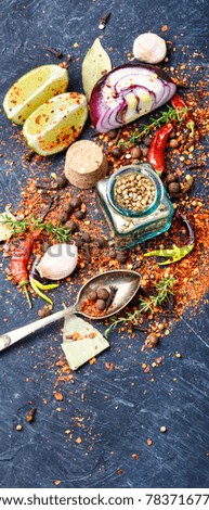 A large set of spices and condiments for cooking