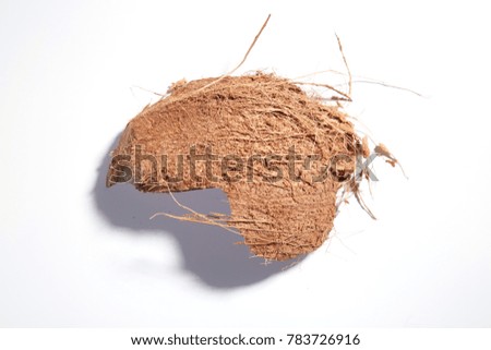 coconut in white background
