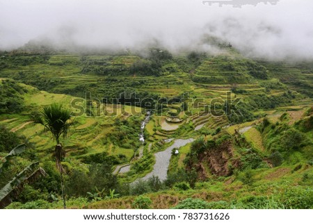 Rice Terraces - Banaue, Philippines