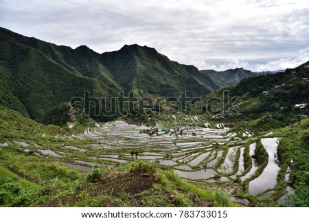 Rice Terraces - Batad, Philippines