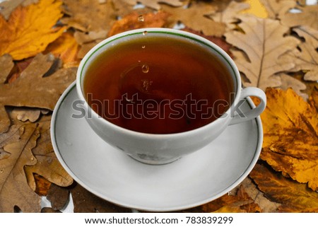 white cup of black hot tea on autumn leaves