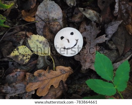 Happy mushroom with black eyes and white cap