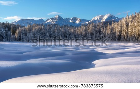 Winter at Pokljuka in Julian Alps Royalty-Free Stock Photo #783875575