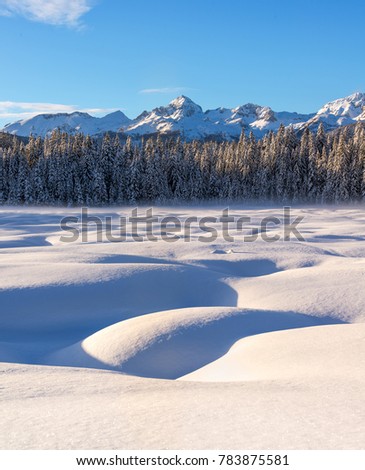 Winter at Pokljuka in Julian Alps