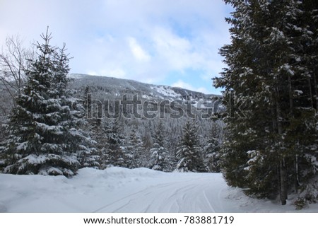 Rila mountain in Bulgaria, general view