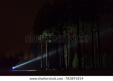 Man standing outdoor at night in forest shining with flashlight up in dark sky and at trees. Nice strong light beam. Beautiful abstract photo. Calm, peaceful and mystical image.