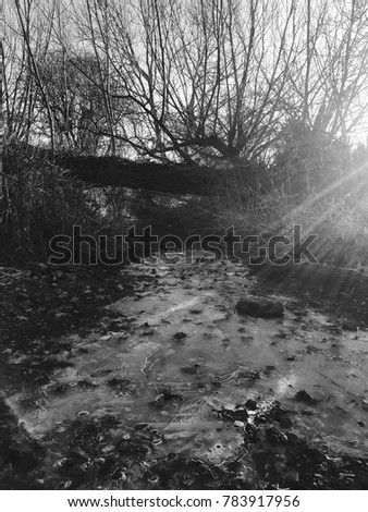 Morning scene with frozen water - icy - black and white