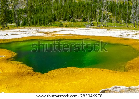 Opal Pool Yellowstone Park Wyoming