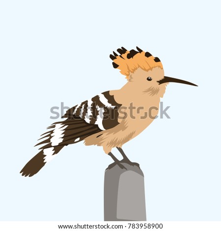 Hoop Oe Bird Vector Illustration