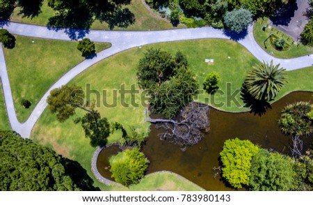 Drone photo of park with a dead tree in the middle