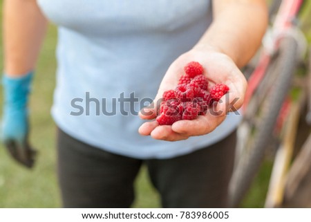 Woman hands holding fresh raspberries at the garden, free space. 
