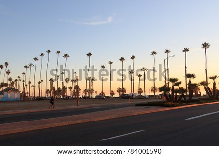 Sunset in Oceanside California on the beach with palm trees