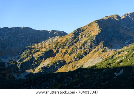 slovakian carpathian mountains. sunny hill tops in summer at sunrise. nice day for hiking