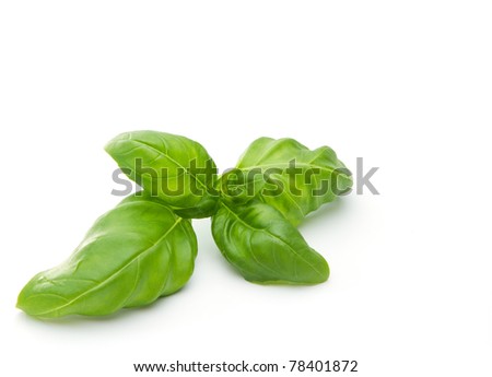 Fresh basil leaves Royalty-Free Stock Photo #78401872