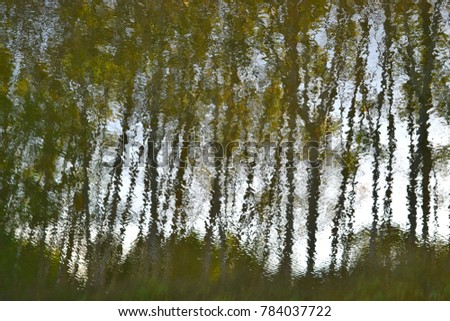 Shadow trees reflected on the water