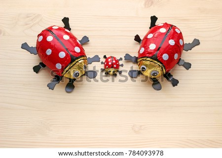 small family of chocolate ladybugs on bright wood
