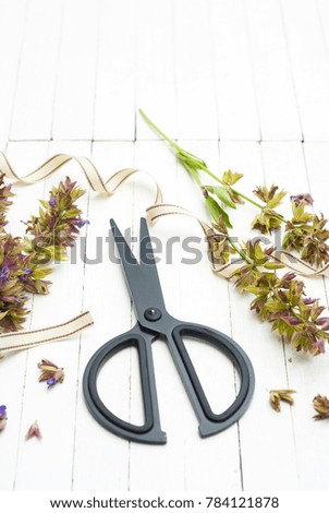 sage dried herbal flowers cutting with scissors on white wooden table background
