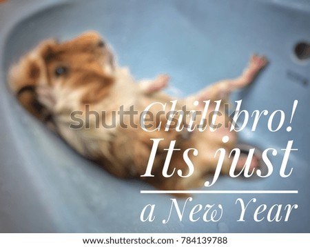 Chill bro! Its just a new year