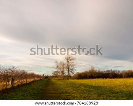 country landscape empty open space tree line sky; essex; england; uk