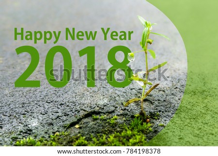 Happy New Year 2018 with newly grown plant with dew drop - concept for establishment of new resolution