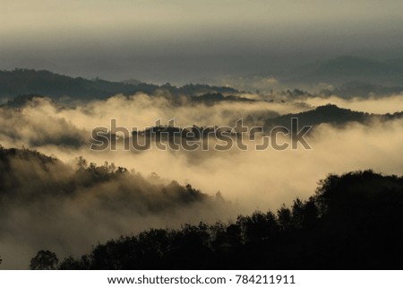 Beautiful landscape of hill and forest during foggy sunrise 